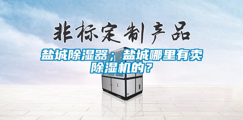 鹽城除濕器；鹽城哪里有賣除濕機(jī)的？