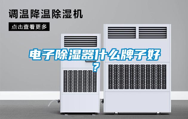 電子除濕器什么牌子好？