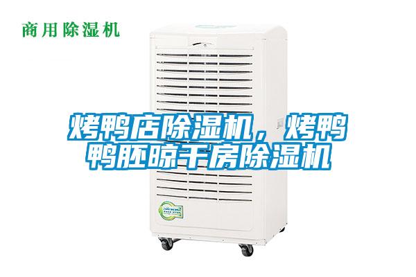 烤鴨店除濕機，烤鴨鴨胚晾干房除濕機