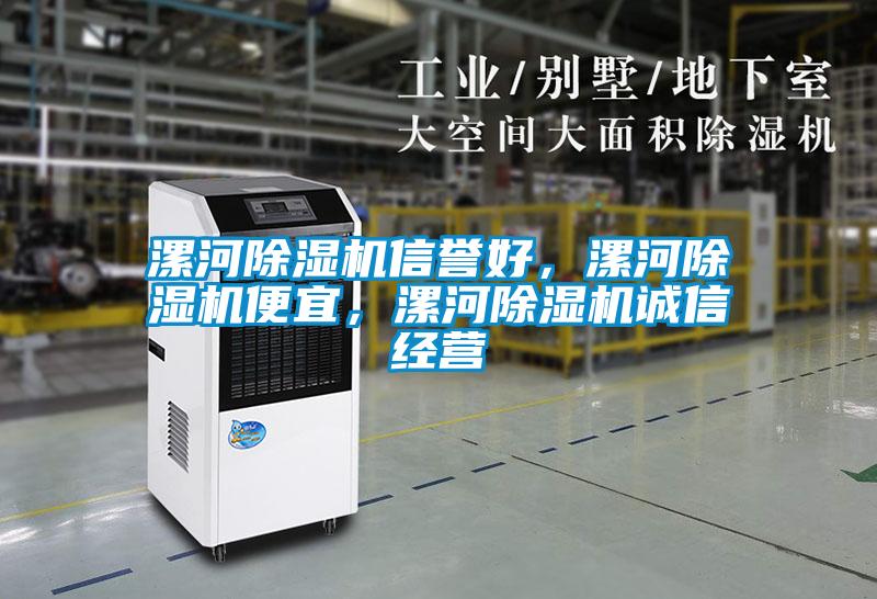 漯河除濕機(jī)信譽(yù)好，漯河除濕機(jī)便宜，漯河除濕機(jī)誠信經(jīng)營