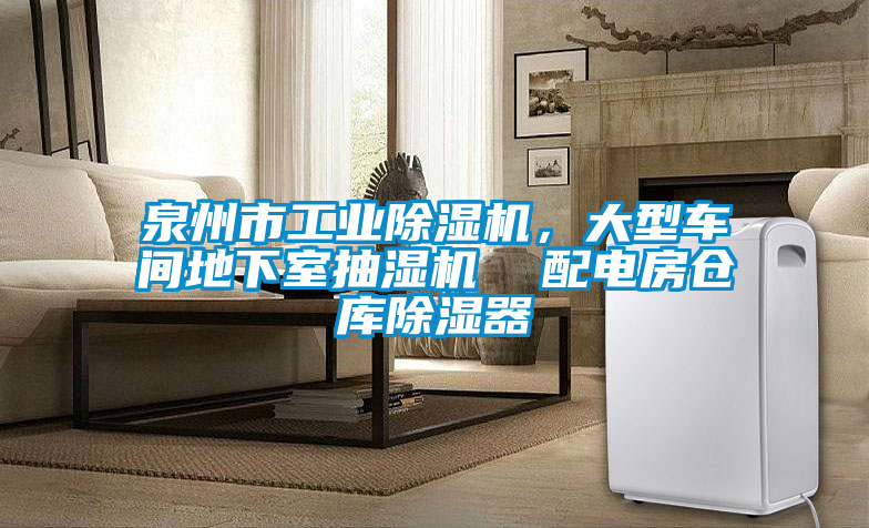泉州市工業(yè)除濕機(jī)，大型車間地下室抽濕機(jī)  配電房倉(cāng)庫(kù)除濕器