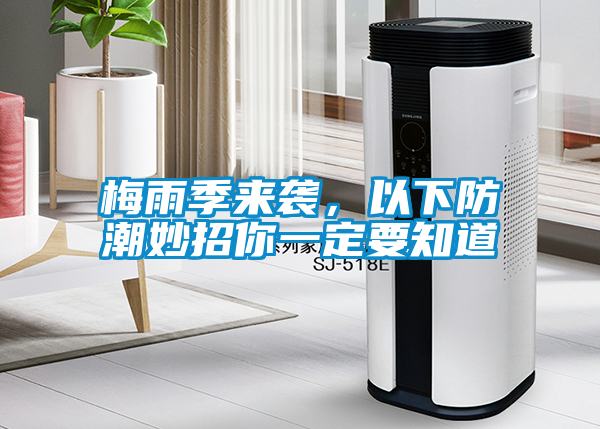 梅雨季來襲，以下防潮妙招你一定要知道