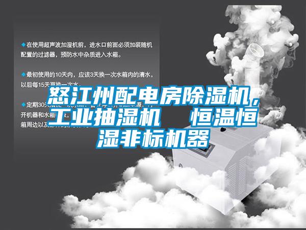 怒江州配電房除濕機(jī)，工業(yè)抽濕機(jī)  恒溫恒濕非標(biāo)機(jī)器