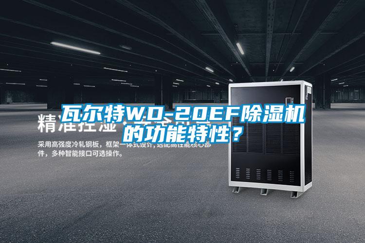 瓦爾特WD-20EF除濕機的功能特性？