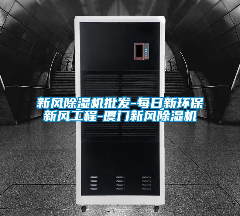 新風(fēng)除濕機(jī)批發(fā)-每日新環(huán)保新風(fēng)工程-廈門(mén)新風(fēng)除濕機(jī)