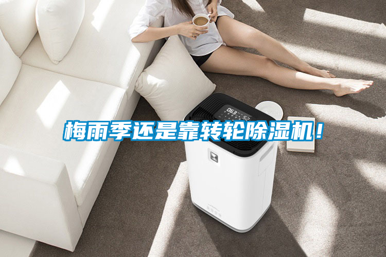 梅雨季還是靠轉(zhuǎn)輪除濕機(jī)！