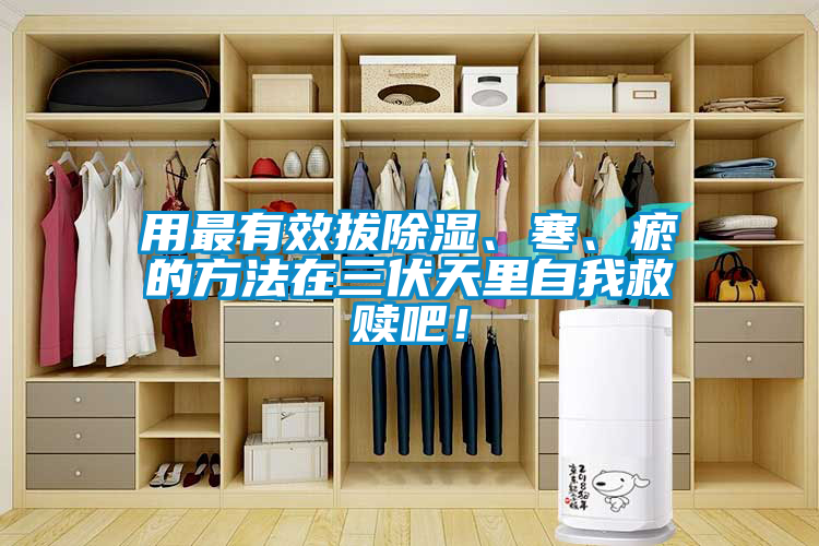 用最有效拔除濕、寒、瘀的方法在三伏天里自我救贖吧！