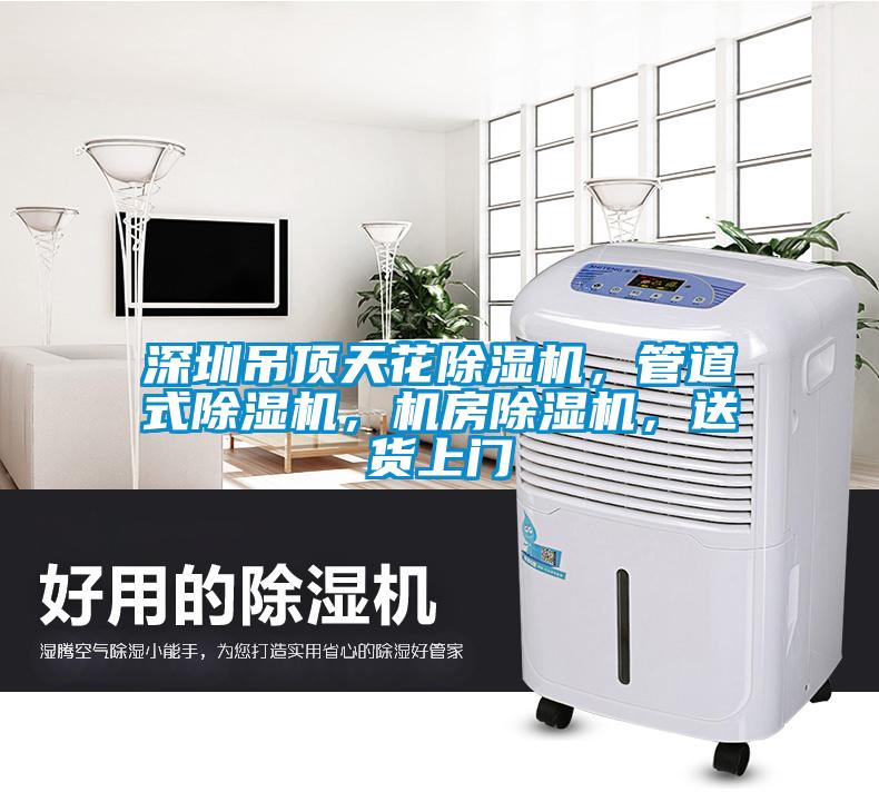 深圳吊頂天花除濕機(jī)，管道式除濕機(jī)，機(jī)房除濕機(jī)，送貨上門