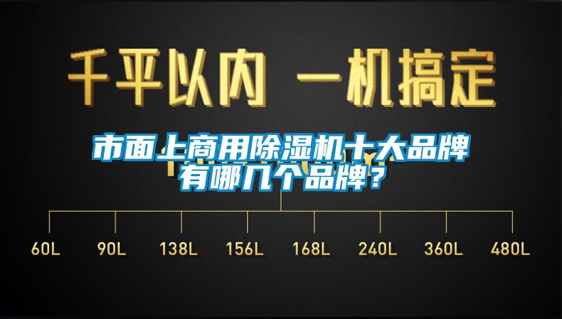 市面上商用除濕機十大品牌有哪幾個品牌？