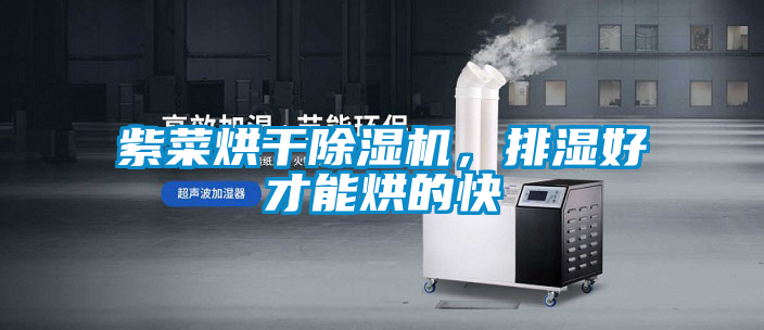 紫菜烘干除濕機(jī)，排濕好才能烘的快