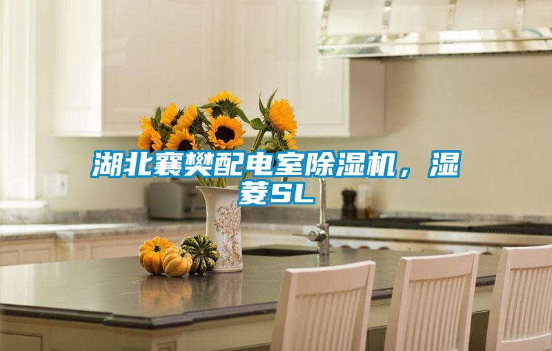 湖北襄樊配電室除濕機，濕菱SL
