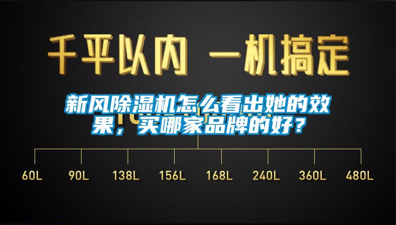 新風(fēng)除濕機(jī)怎么看出她的效果，買哪家品牌的好？