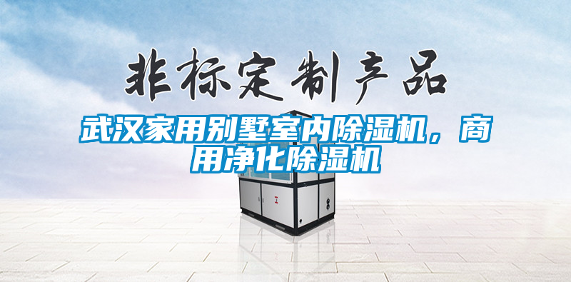 武漢家用別墅室內(nèi)除濕機(jī)，商用凈化除濕機(jī)