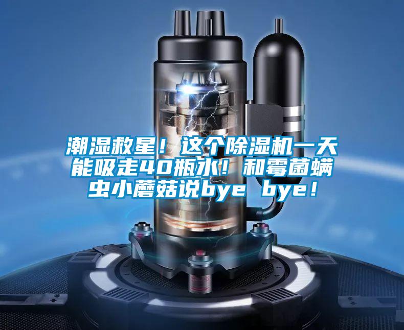 潮濕救星！這個(gè)除濕機(jī)一天能吸走40瓶水！和霉菌螨蟲小蘑菇說(shuō)bye bye！