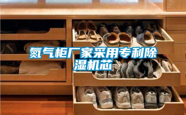 氮?dú)夤駨S(chǎng)家采用專(zhuān)利除濕機(jī)芯