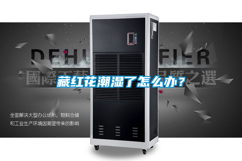 藏紅花潮濕了怎么辦？