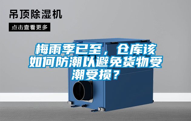 梅雨季已至，倉(cāng)庫(kù)該如何防潮以避免貨物受潮受損？