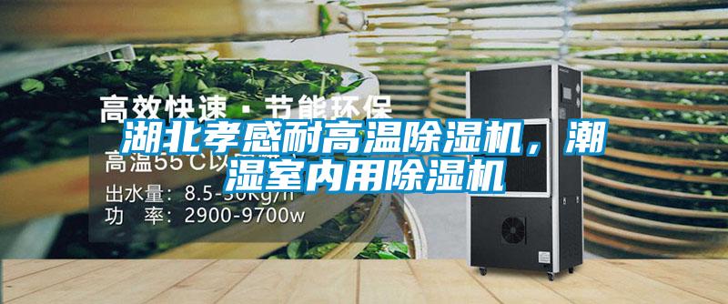湖北孝感耐高溫除濕機，潮濕室內用除濕機