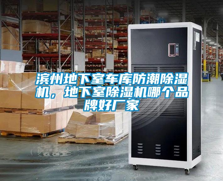 濱州地下室車庫防潮除濕機(jī)，地下室除濕機(jī)哪個(gè)品牌好廠家