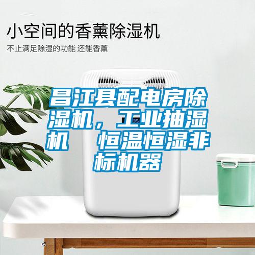 昌江縣配電房除濕機(jī)，工業(yè)抽濕機(jī)  恒溫恒濕非標(biāo)機(jī)器