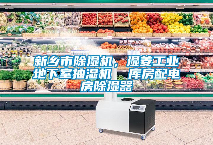 新鄉(xiāng)市除濕機(jī)，濕菱工業(yè)地下室抽濕機(jī)  庫房配電房除濕器