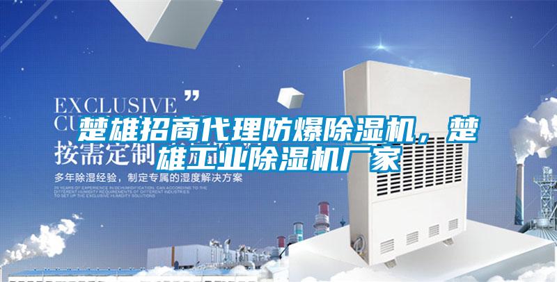 楚雄招商代理防爆除濕機，楚雄工業(yè)除濕機廠家