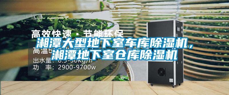 湘潭大型地下室車庫除濕機(jī)，湘潭地下室倉庫除濕機(jī)
