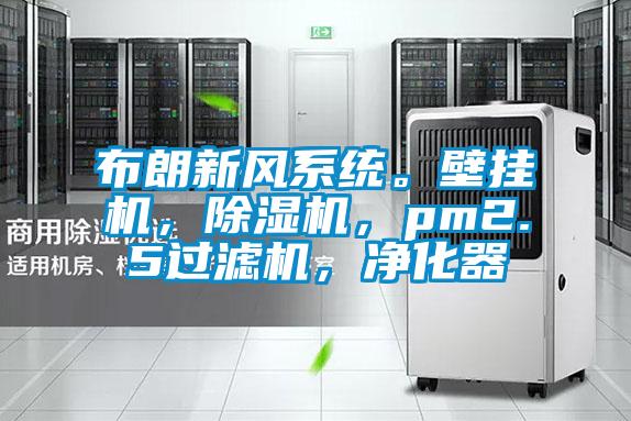 布朗新風系統(tǒng)。壁掛機，除濕機，pm2.5過濾機，凈化器