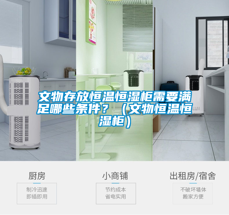 文物存放恒溫恒濕柜需要滿足哪些條件？（文物恒溫恒濕柜）
