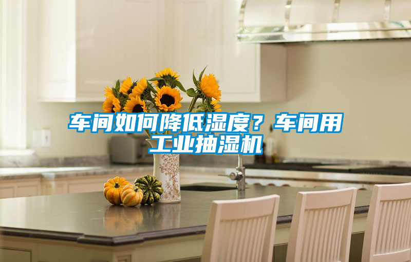 車間如何降低濕度？車間用工業(yè)抽濕機(jī)