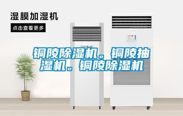 銅陵除濕機。銅陵抽濕機。銅陵除濕機