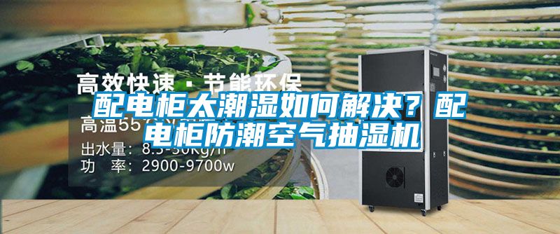 配電柜太潮濕如何解決？配電柜防潮空氣抽濕機(jī)
