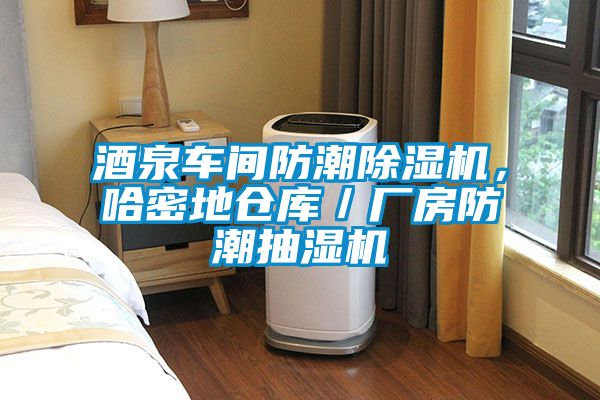 酒泉車間防潮除濕機(jī)，哈密地倉(cāng)庫(kù)／廠房防潮抽濕機(jī)