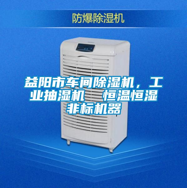 益陽市車間除濕機，工業(yè)抽濕機  恒溫恒濕非標(biāo)機器