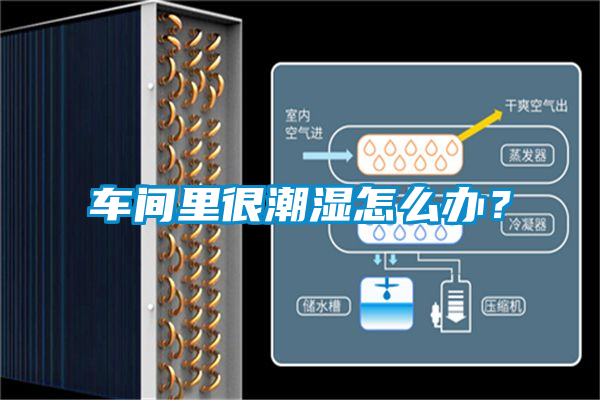 車間里很潮濕怎么辦？