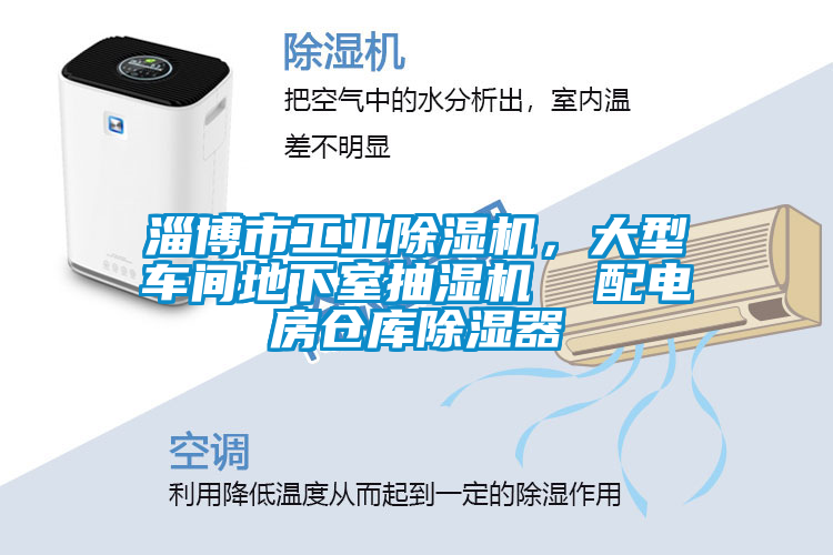 淄博市工業(yè)除濕機(jī)，大型車(chē)間地下室抽濕機(jī)  配電房倉(cāng)庫(kù)除濕器