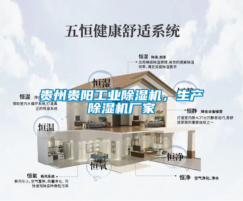 貴州貴陽工業(yè)除濕機(jī)，生產(chǎn)除濕機(jī)廠家