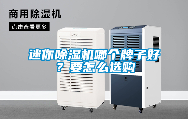 迷你除濕機(jī)哪個(gè)牌子好？要怎么選購
