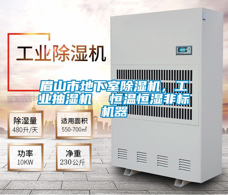 眉山市地下室除濕機(jī)，工業(yè)抽濕機(jī)  恒溫恒濕非標(biāo)機(jī)器