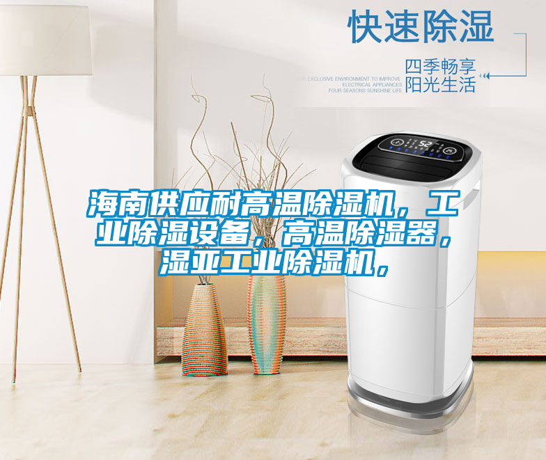 海南供應耐高溫除濕機，工業(yè)除濕設備，高溫除濕器，濕亞工業(yè)除濕機，