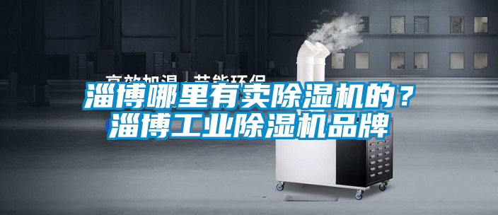 淄博哪里有賣除濕機的？淄博工業(yè)除濕機品牌