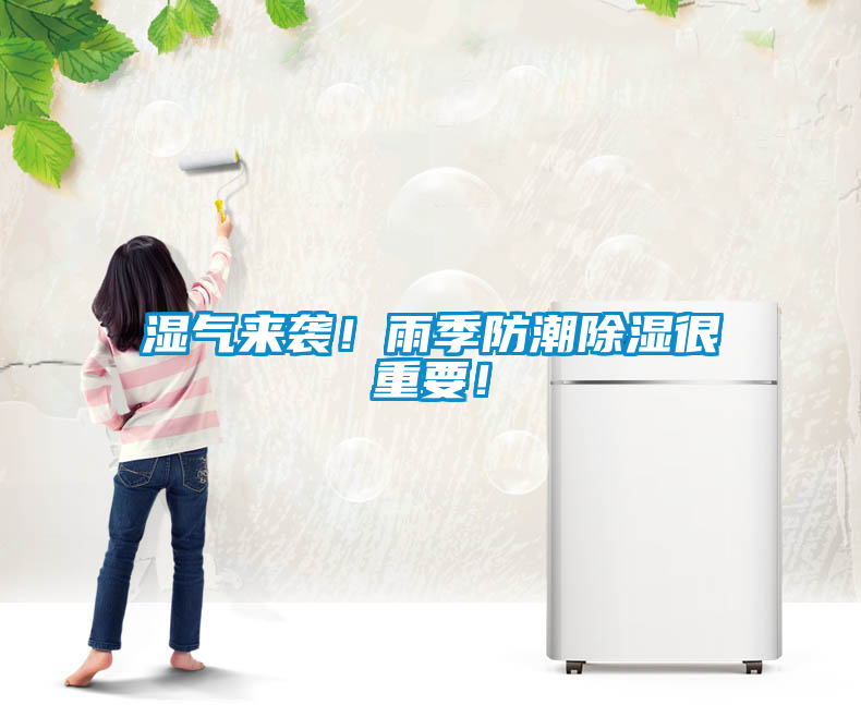 濕氣來襲！雨季防潮除濕很重要！