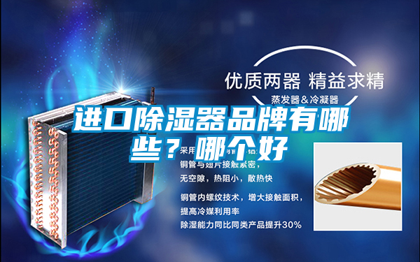 進(jìn)口除濕器品牌有哪些？哪個(gè)好