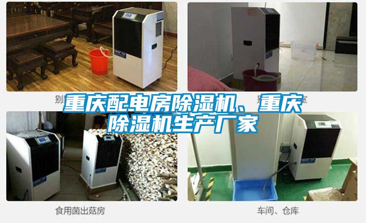 重慶配電房除濕機、重慶除濕機生產(chǎn)廠家