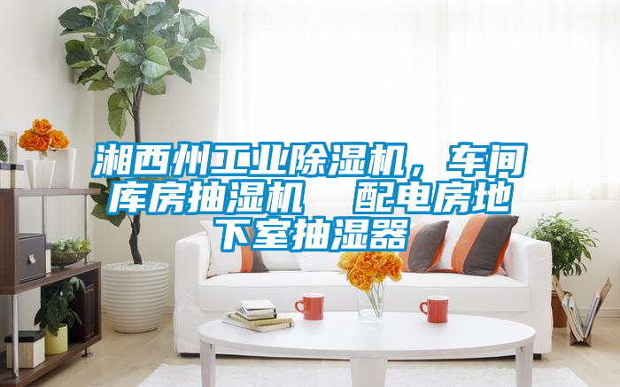 湘西州工業(yè)除濕機(jī)，車(chē)間庫(kù)房抽濕機(jī)  配電房地下室抽濕器