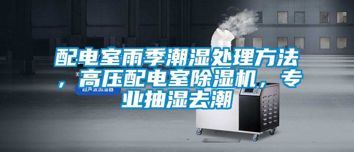 配電室雨季潮濕處理方法，高壓配電室除濕機(jī)，專業(yè)抽濕去潮