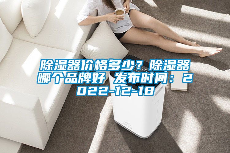 除濕器價格多少？除濕器哪個品牌好 發(fā)布時間：2022-12-18