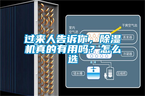 過(guò)來(lái)人告訴你，除濕機(jī)真的有用嗎？怎么選