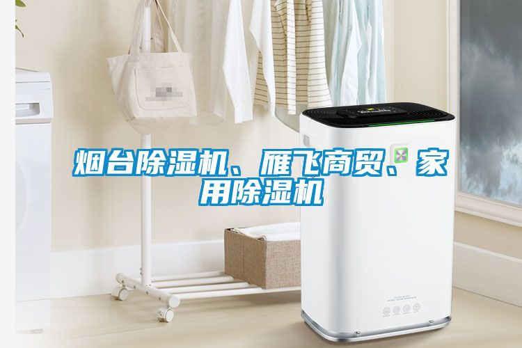 煙臺除濕機、雁飛商貿(mào)、家用除濕機