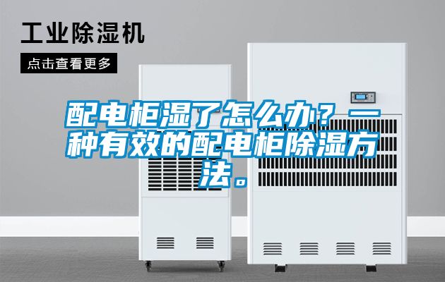 配電柜濕了怎么辦？一種有效的配電柜除濕方法。